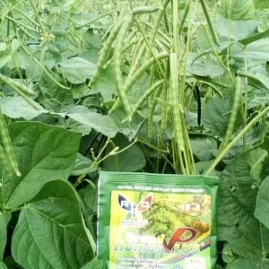 Grand Humus Plus – Engrais Organique Naturel pour Sol Riche et Plantes Vigoureuses