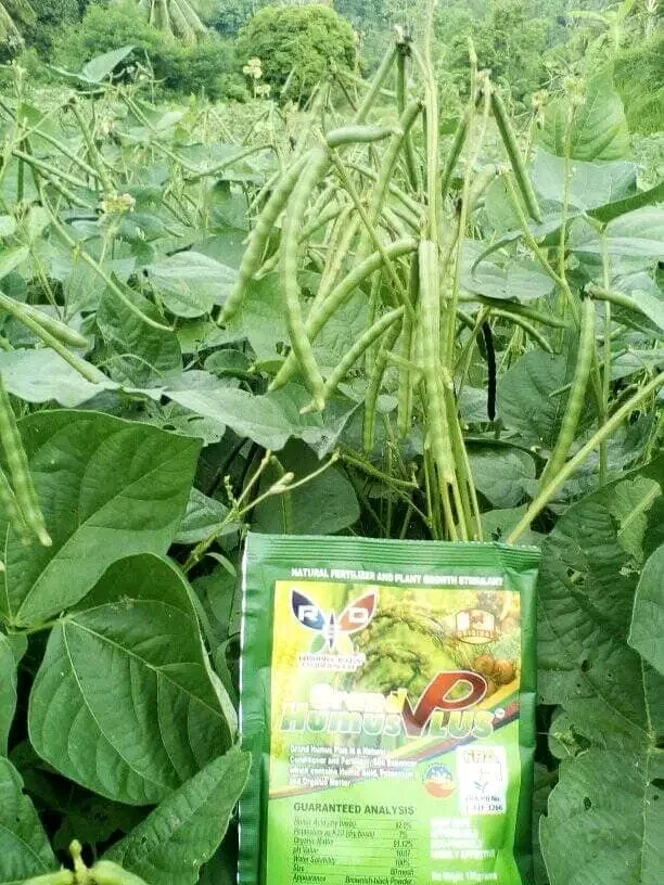 Grand Humus Plus – Engrais Organique Naturel pour Sol Riche et Plantes Vigoureuses