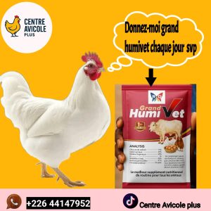 Grand Humivet - Optimiseur de Santé Naturel pour Animaux,