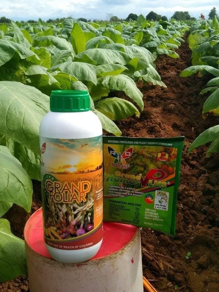 Grand Humus Plus et grand folliar– Engrais Organique Naturel