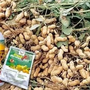 Grand Humus Plus – Engrais Organique Naturel