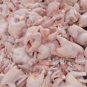 Poulets Frais de Qualité Supérieure - Garantie Grande Humivet & Économies