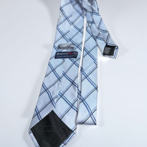 Cravate, élégance, mode bien stylé