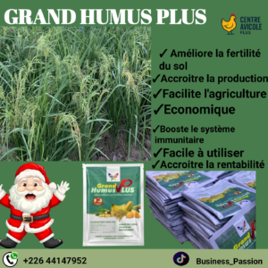 Grand Humus Plus – Engrais Organique Naturel , fertilise le sol accroître la plante