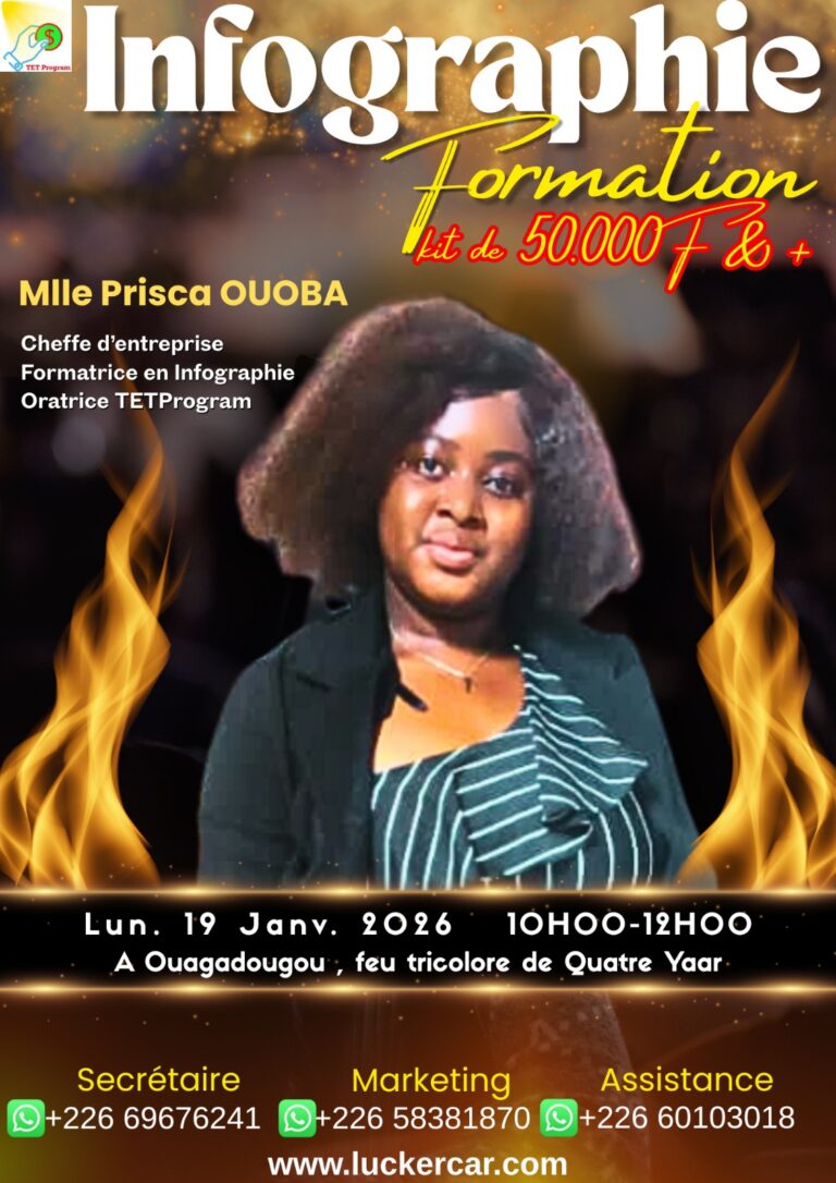 Formation en infographie : le programme progressif de TETProgram pour partir de zéro et atteindre le niveau professionnel