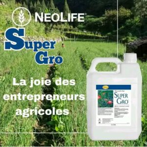 Engrais Super Gros - Croissance Explosive et Rendements Maximaux
