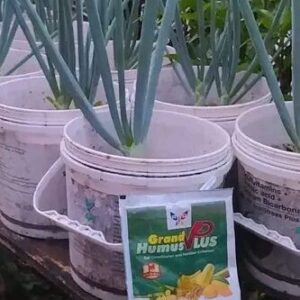 Grand Humus Plus: Engrais Organique Puissant pour un Jardin Florissant et une Récolte Abondante