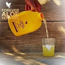 Forever Aloe Vera Gel - Boisson Pure d'Aloès pour Digestion et Vitalité – Image 6