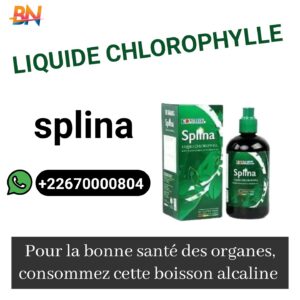 Splina Liquide Chlorophylle Edmark