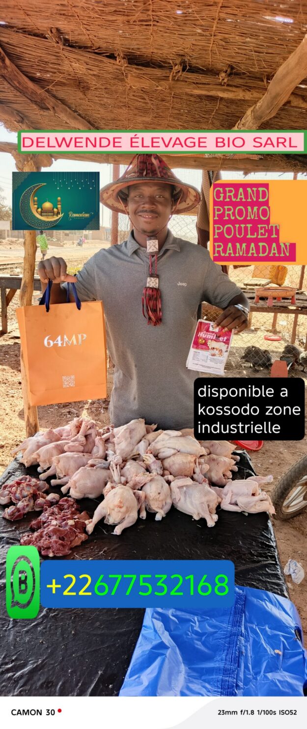 Poulets Frais Biologiques 'Grand humivet- Idéal pour le Ramadan