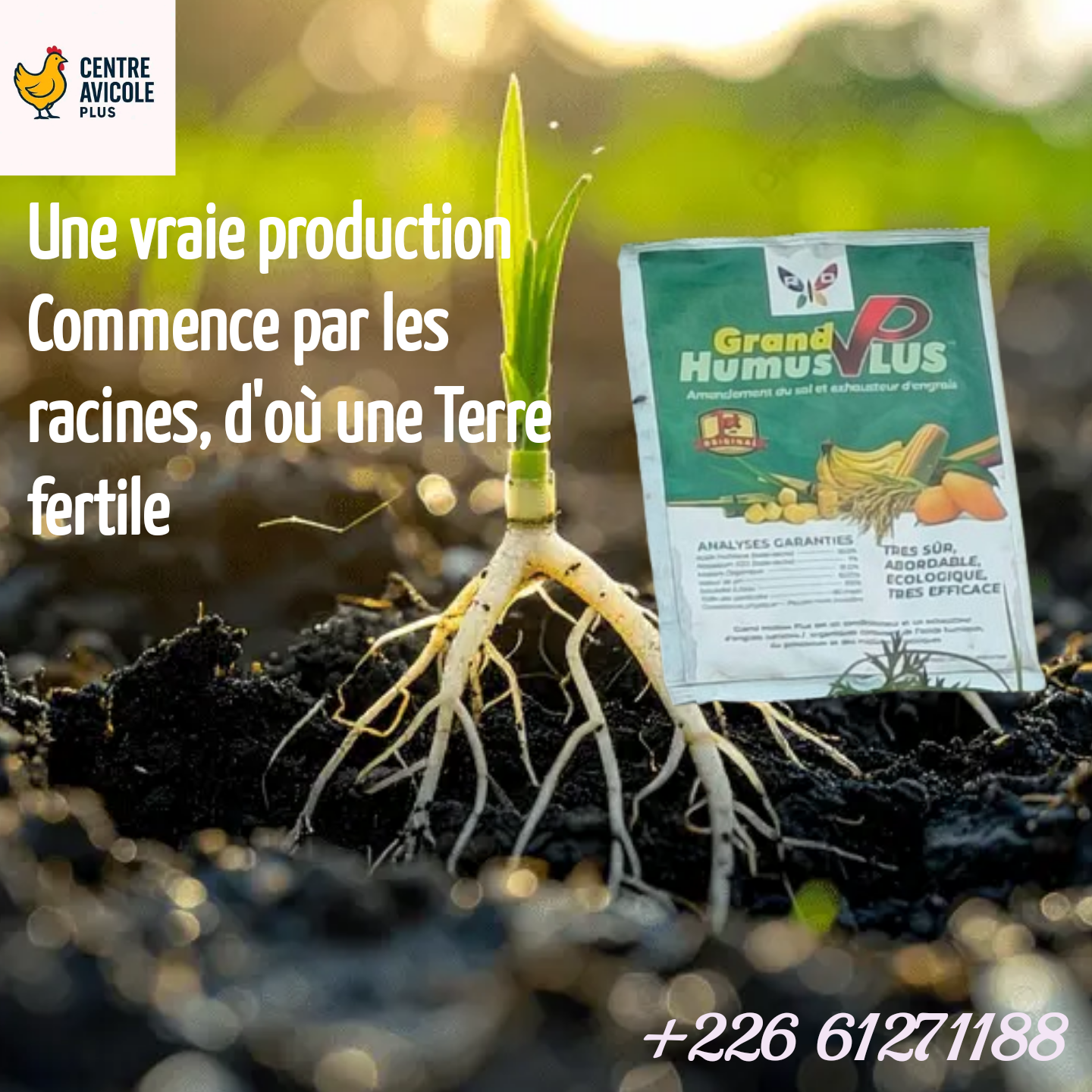 Grand Humus Plus – Engrais Organique Naturel