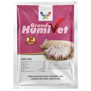 Grand Humivet – Image 5