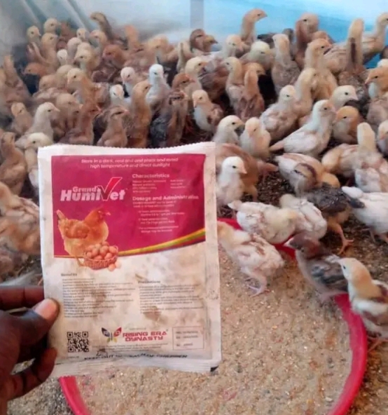 Grand humivet, un excellent produit biologique pour l'élevage – Image 2