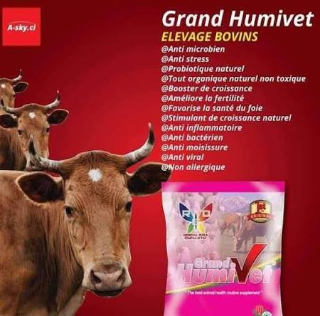 Grand Humivet – Image 2