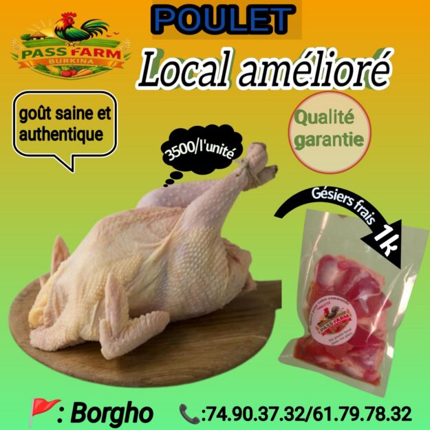 Poulet frais