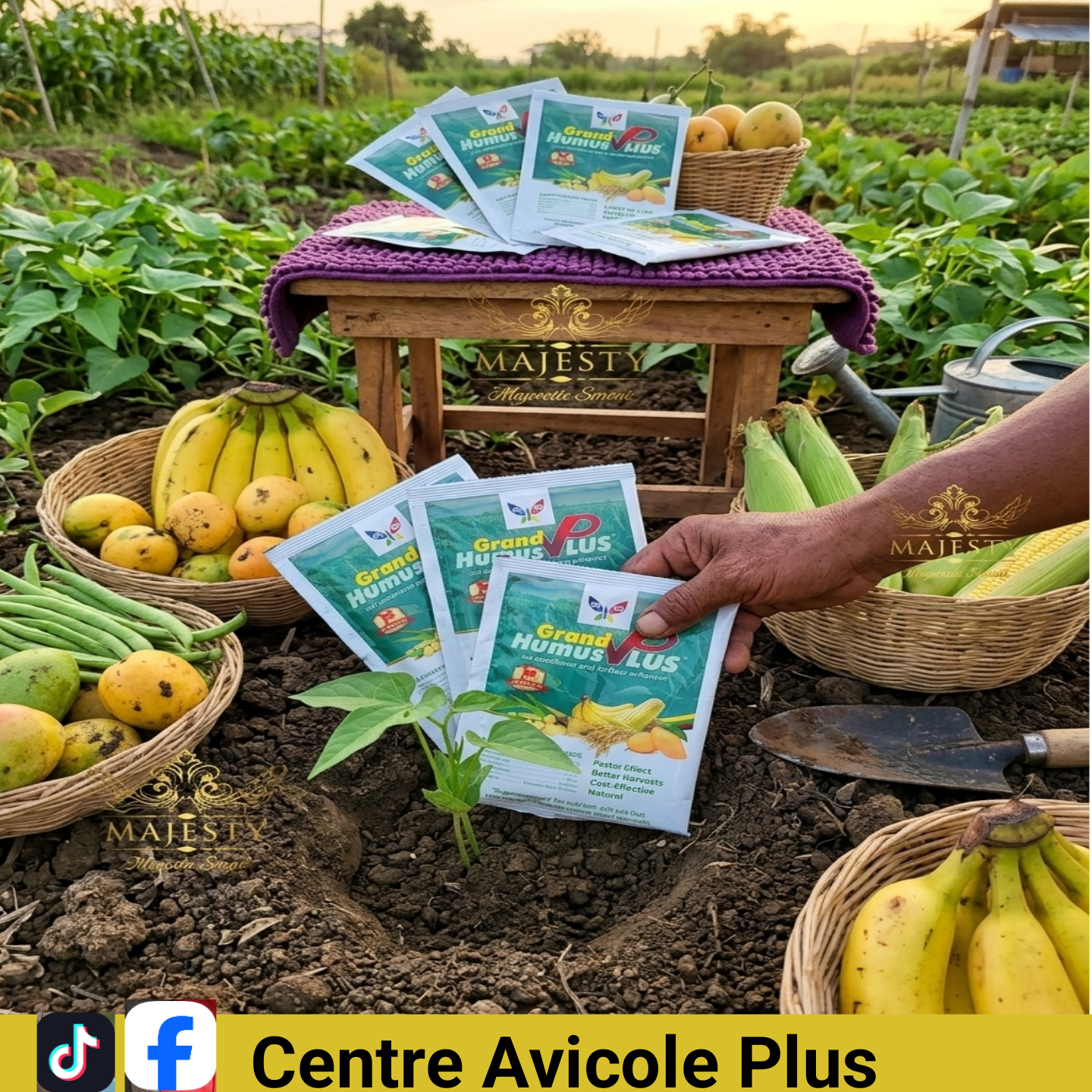 Grand humus plus un engrais organique biologique pour tout type de culture