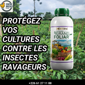 Le grand folia l'engrais foliar numéro 1 pour vos plantes pour vos différentes cultures