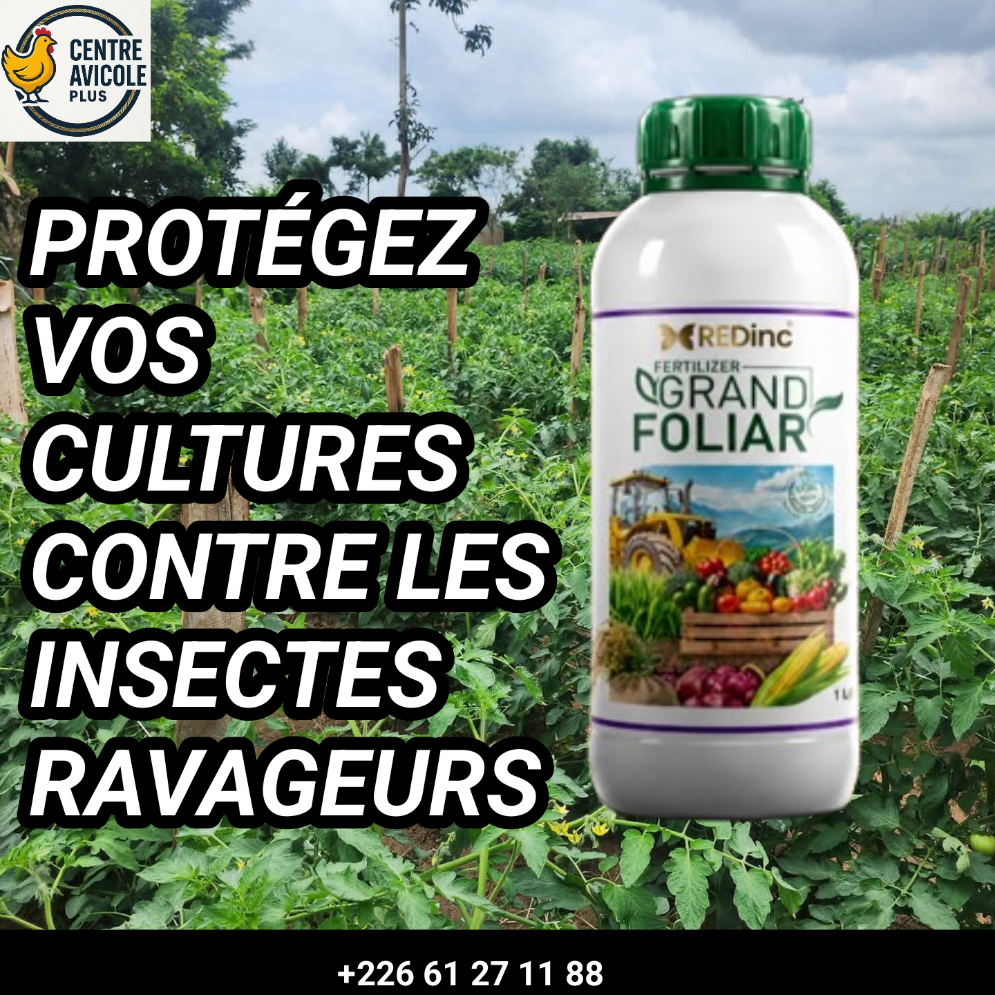 Grand FOLIAR - Fertilisation Naturelle pour Plantes d'Intérieur et d'Extérieur