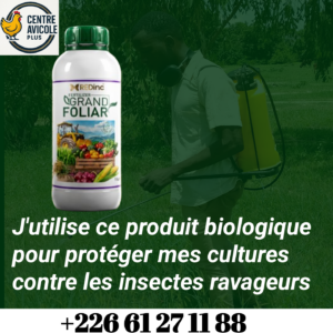 Grand foliar, engrais foliaire pour les plantes