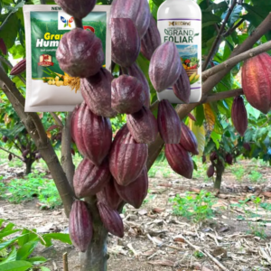 Grand foliar et grand humus plus