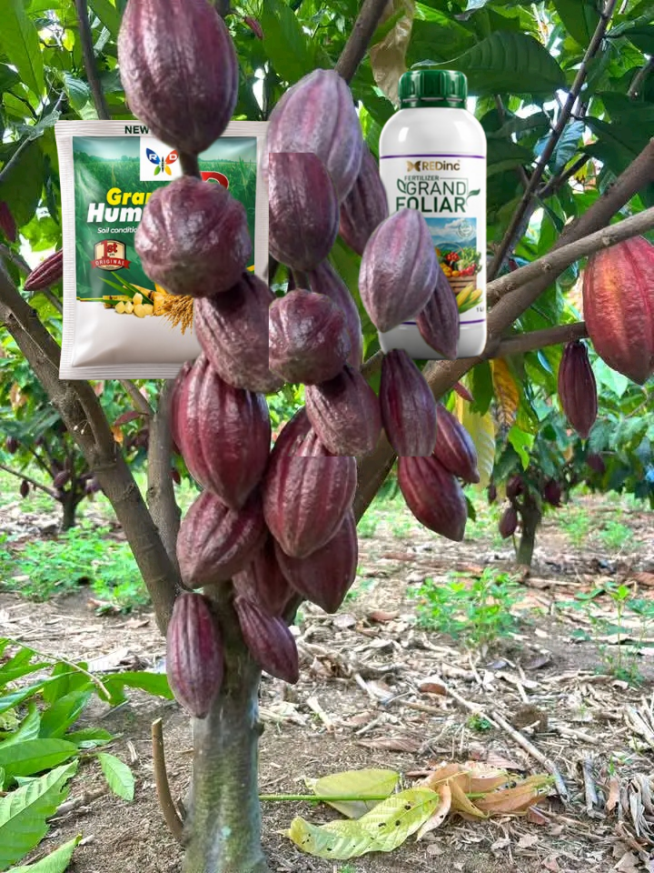 Grand foliar et grand humus plus