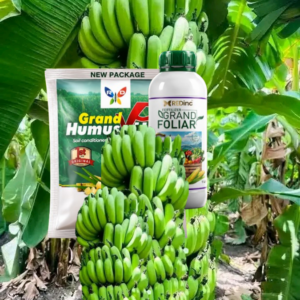 Grand foliar et grand humus plus