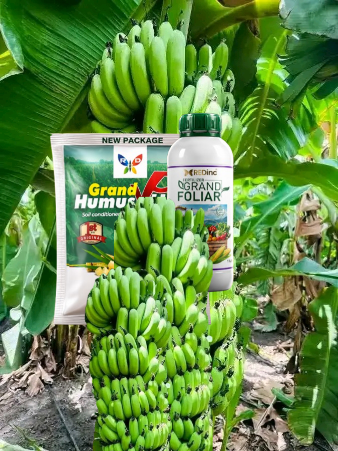 Grand foliar et grand humus plus