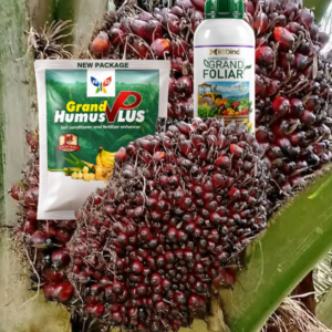 Grand folliar et grand humus plus
