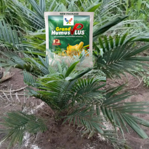 Engrais bio, un fertilisant du sol