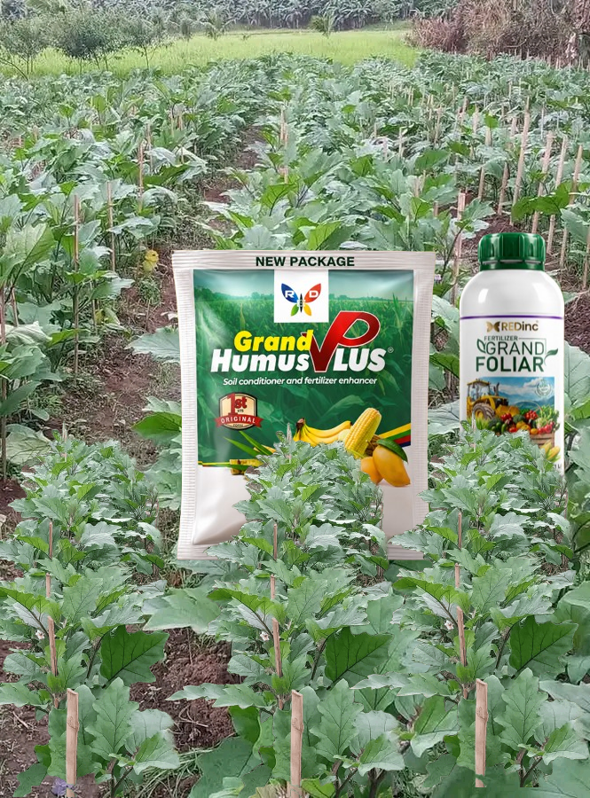 Grand humus plus : engrais organique pour tout type de culture