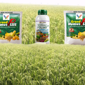 Engrais bio pour le riz et les autres cultures