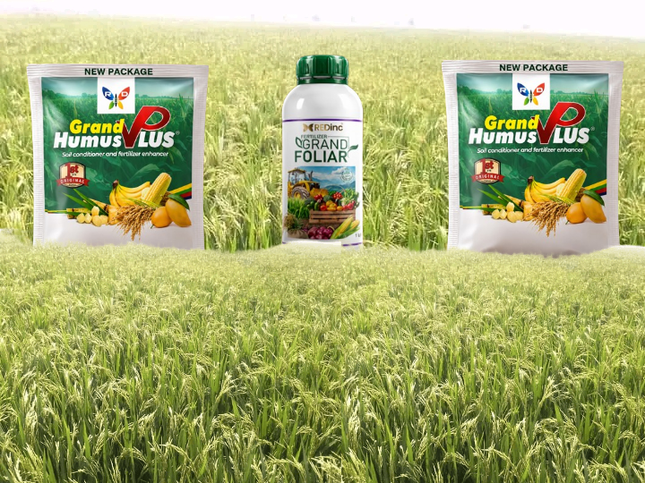 Grand humus plus, Votre engrais bio – Image 5
