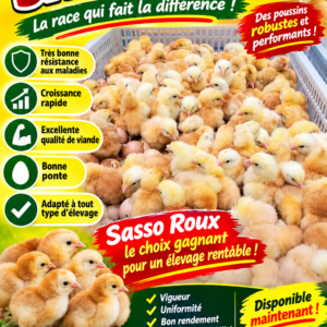 Sasso roux (chair)