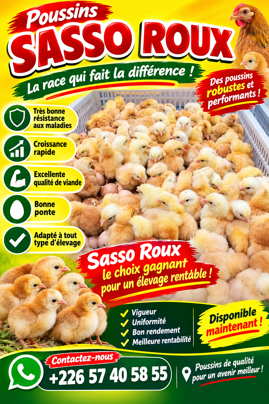 Sasso roux (chair)